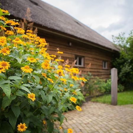 Aalden Aan De Aelder Esch B&B 외부 사진