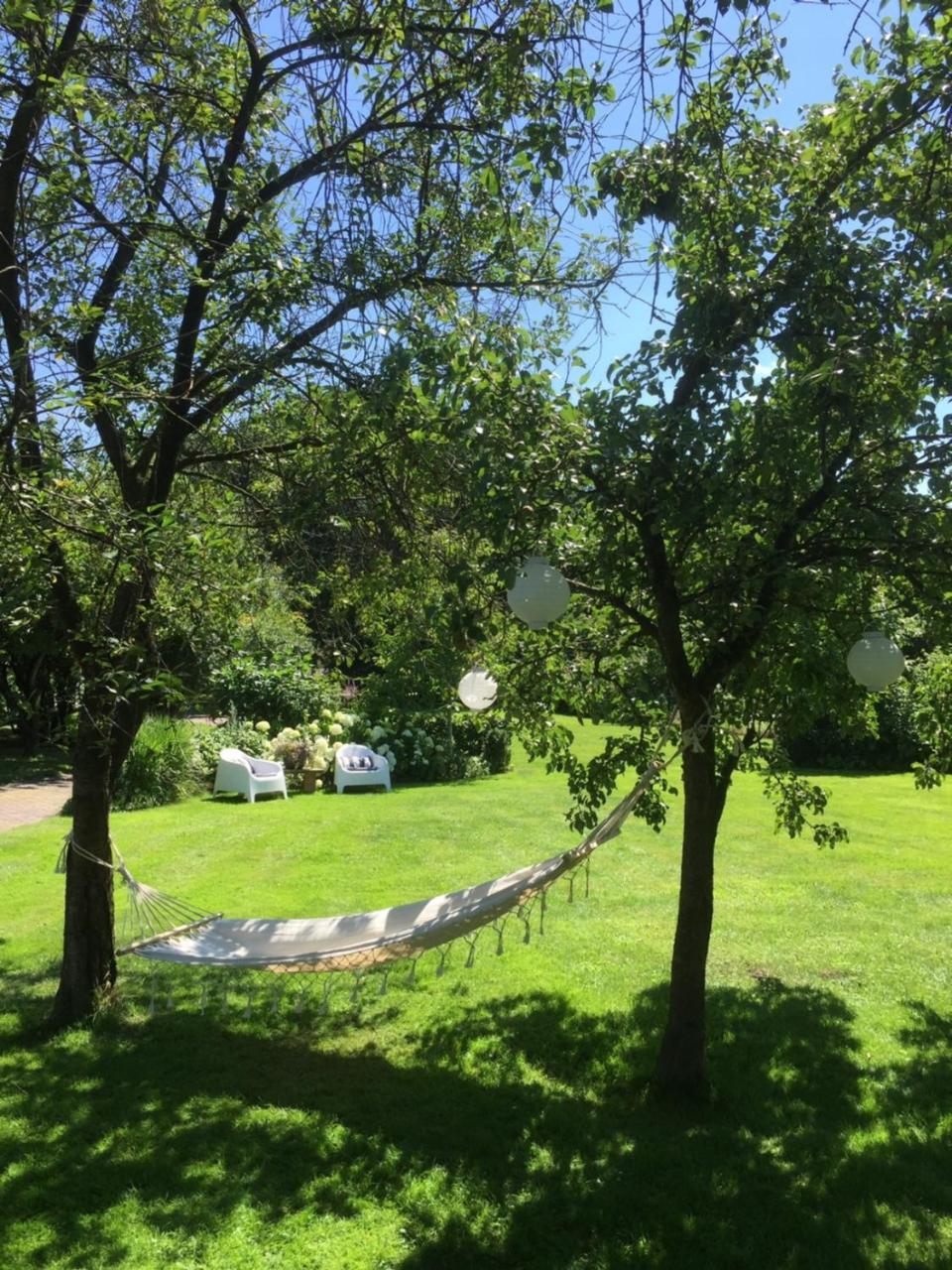 Aalden Aan De Aelder Esch B&B 외부 사진