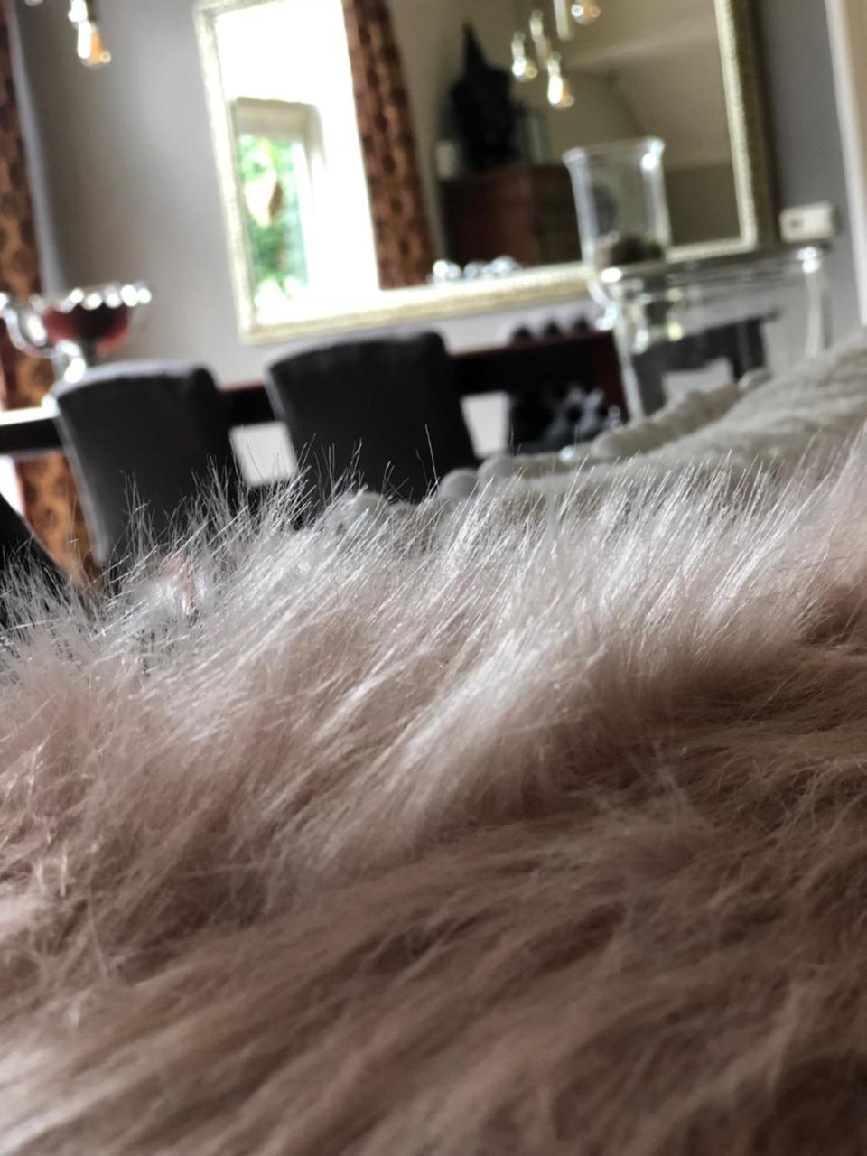 Aalden Aan De Aelder Esch B&B 외부 사진